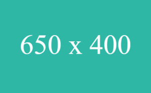dummy_650x400_fff_2EB7A5 (4)